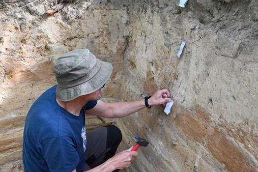 Fot. materiały prasowe