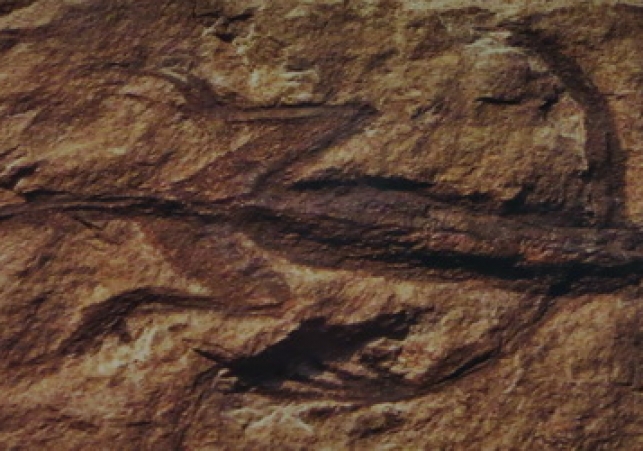 Tridentinosaurus antiquus