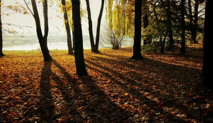 autumn-colours-city-park-79083_zmien rozmiary