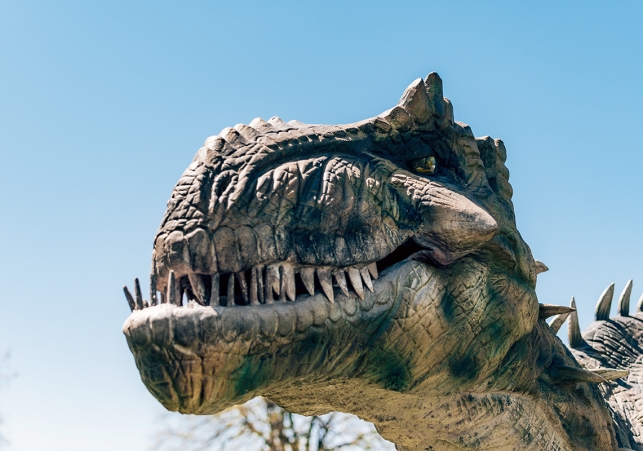 dinozaury