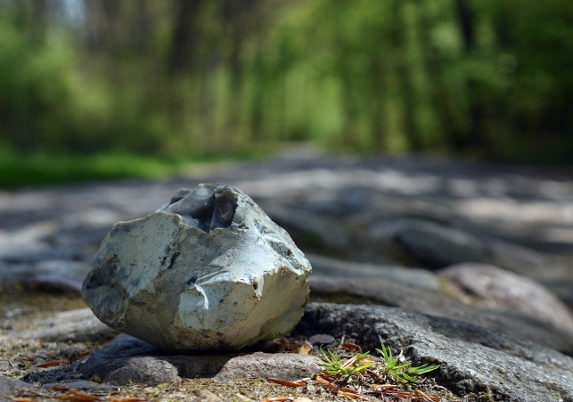 malowidla w krzemionkach