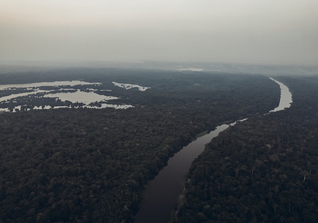 puszcza amazonska