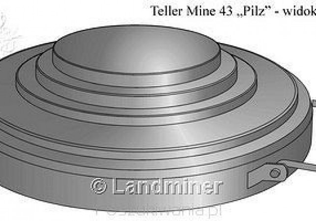 teller mine 43
