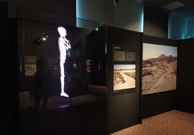 wystawa badanie mumii