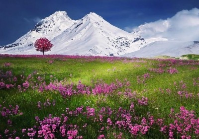laki w alpach